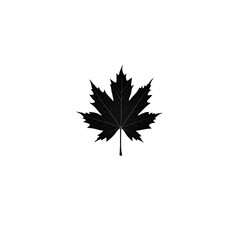 Poster - A simple minimalist image featuring the iconic silhouette of a maple leaf set against a plain neutral toned background creating a clean elegant and recognizable design