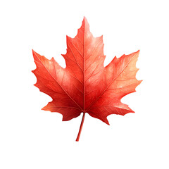 Aufkleber - Close up of a beautifully colored fresh red maple leaf against a clean minimalist white background showcasing the intricate natural pattern and texture of this iconic autumn symbol