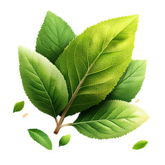 Poster - a vibrant lush cluster of fresh green leaves arranged in a natural botanical setting showcasing the 