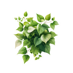 Poster - Abundant and healthy looking green leaves and foliage with a serene natural appearance evoking a sense of tranquility and renewal  category Nature