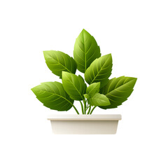 Aufkleber - A vibrant green potted plant with lush healthy leaves displayed in a simple modern white planter against a clean white background