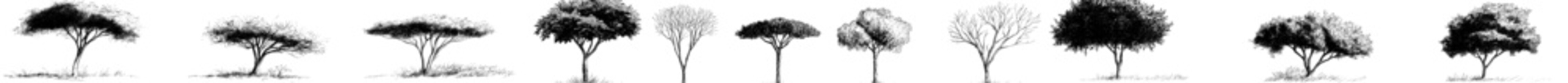 Poster - Icon vector illustration depicting various tree silhouettes in different styles and stages of growth
