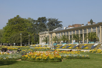 Wall Mural - parc du thabor à rennes au printemps