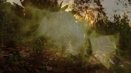 Poster - Medium light-colored dog moving through undergrowth with moss and leaves in flat design