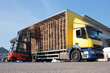 © jdarius - Counterbalance driver unloading lorry fully loaded with euro pallets.