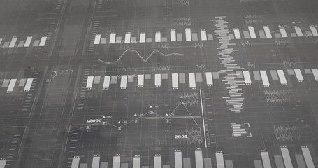 Poster - Digital data interface showing translucent bar charts, line graphs, waveforms, labels over grid