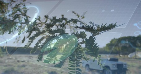 Poster - Fern-like branch undergoing scanning with holographic panels overlaying rural grassland 3D render