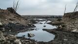 Desolate conflict zone war-torn landscape nature photography stark environment ground-level view despair concept