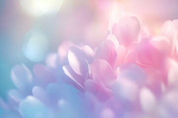 Poster - Soft Pastel Pink and Blue Flower Petals Close Up