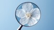 © Enjoy - Delicate White Flower Magnified Under Vintage Magnifying Glass Against Pale Blue Background