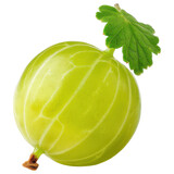 Fresh fruit brings joy and health this green gooseberry is vibrant and delicious. isolated on transparency background