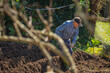 © carballo - farmer working in the field or orchard