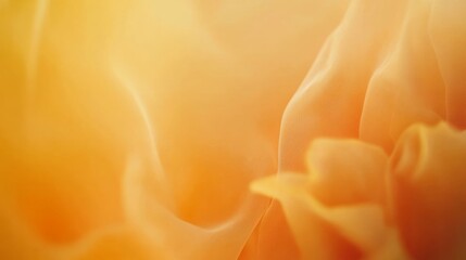 Poster - Sheer fabric gently flows with a delicate pale flower in the foreground, creating an ethereal atmosphere that symbolizes transition and beauty