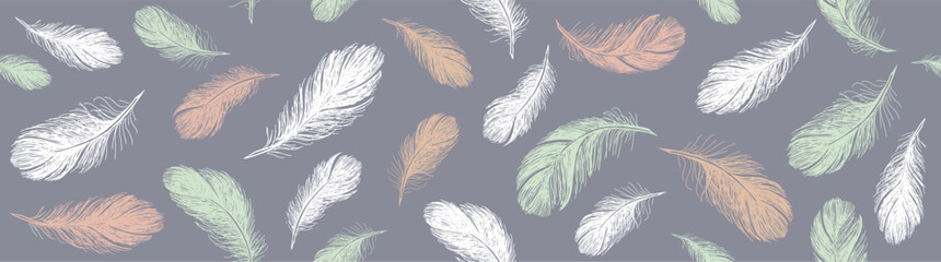 Naklejka na meble Pattern of bird feathers. Hand drawn sketch style.	
