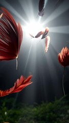 Poster - A bunch of red feathers are flying in the air. They are all different sizes and shapes. The feathers are scattered all over the image