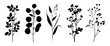 © Rawpixel.com - Silhouette botanical plant collection, isolated vector set