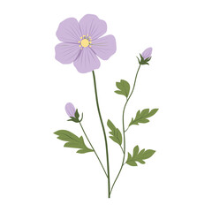 Wall Mural - an altey wildflower clip art illustration design plant vector