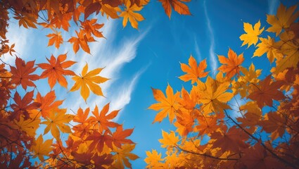 Poster - Autumn foliage against a vibrant sky