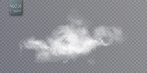 Poster - A translucent cloud of realistic white smoke with soft texture and blurred edges on a transparent background.