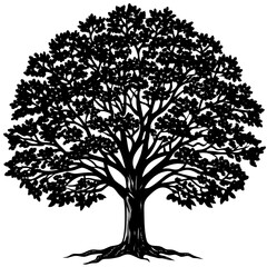 teak tree