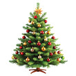 © Rashed Chowdhury - Crismistmas green tree Vactor illustration