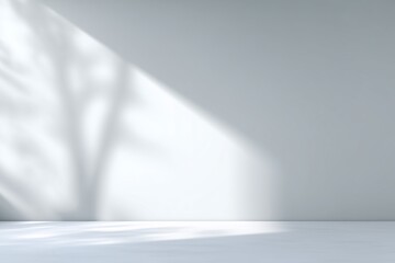 Poster - Minimalist interior with soft shadows on a white wall and floor, creating a serene atmosphere for relaxation and creativity, interior design concept