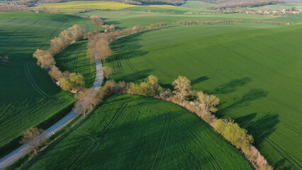 Wall Mural - green wavy hills with agricultural fields