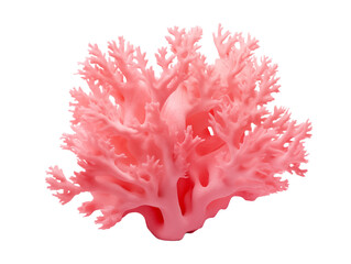 Poster - Isolated close up of a light pink coral with branching structure on a black solid background png