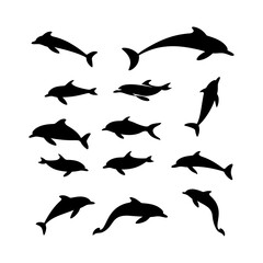  Dolphin Jumping Silhouette on White