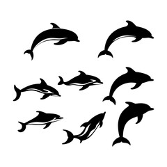  Ocean Dolphin Silhouette for Marine Themes