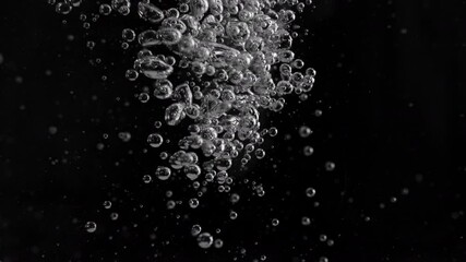 Wall Mural - super slow motion shot of air bubbles stream in water, isolated on black at 1000fps.