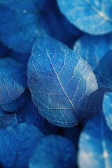 Poster - Captivating close up of vibrant blue leaves showcasing intricate vein patterns and textures evoking a sense of tranquility and natural beauty in a botanical style