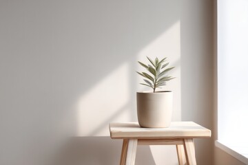 Poster - show minimalist interior with potted plant on simple table emphasizing clean lines and ample copy space