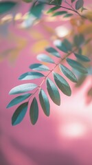 Poster - Serene botanical beauty of a delicate leaf branch against a soft pink backdrop in dreamy pastel hues and gentle light
