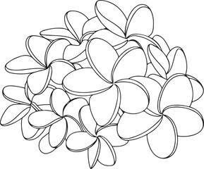Wall Mural - a continuous line art sketch featuring plumeria and jasmine flowers arranged in a tropical cluster d