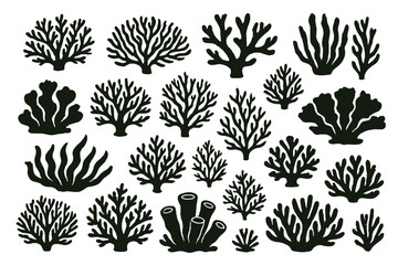Aufkleber - Collection of detailed coral icons showcasing various shapes and forms suitable for marine-themed designs and illustrations