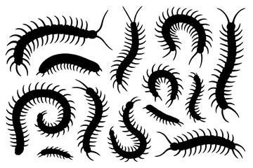 Aufkleber - Various black silhouettes of centipedes displayed in a creative arrangement