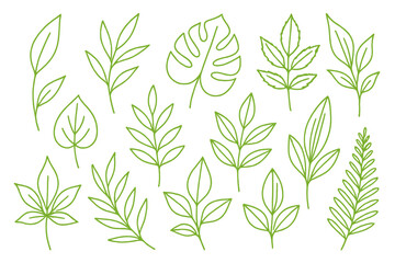 Leinwandbilder - Stylized green line art icon set featuring various leaf designs for nature-themed projects or illustrations