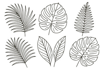 Aufkleber - Stylized line art icon set featuring various tropical leaves in a minimalist design suitable for nature-themed projects