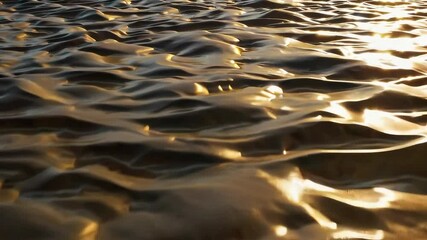 Poster - Serene Golden Waves Reflecting Light in a Calm Environment