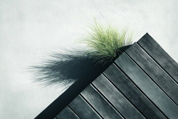 Poster - Ornamental grass casting shadow on modern wood deck