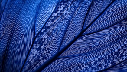 blue leaf texture background color toned