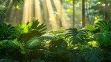 Lush tropical foliage bathed in sunlight