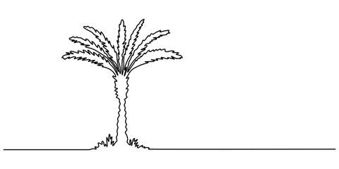 Fototapete - Palm tree continuous one line art drawing of isolated outline vector illustration, Single line drawing palm tree in one continuous line. Tropical vegetation. Coconut palm. Modern minimal illustration.