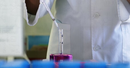 Poster - Image of chemical formulas over hands of african american female lab worker with sample