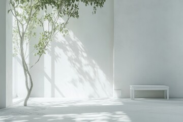 Fototapete - Sun-drenched minimalist room features a tree with light green leaves, a white bench, and leaf shadows across the white walls and floor.
