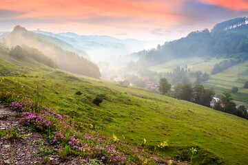 Wall Mural - abranka village in the valley at foggy sunrise. countryside landscape with red clouds above forested