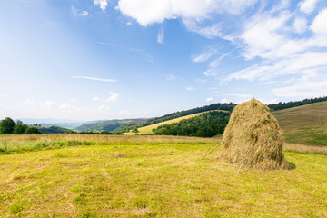 Wall Mural - rural scenery of transcarpathia in summer. alpine pasture. haystack on the grassy field. mountainous