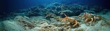 Underwater crustaceans on a sandy seabed