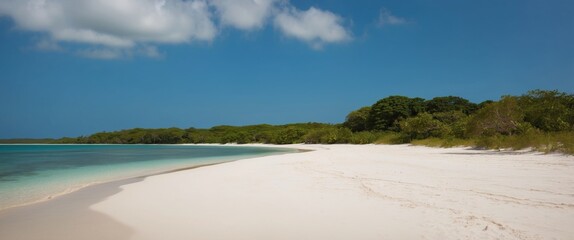 secluded white sand beach with clear water and lush jungle under bright morning sun